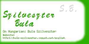 szilveszter bula business card